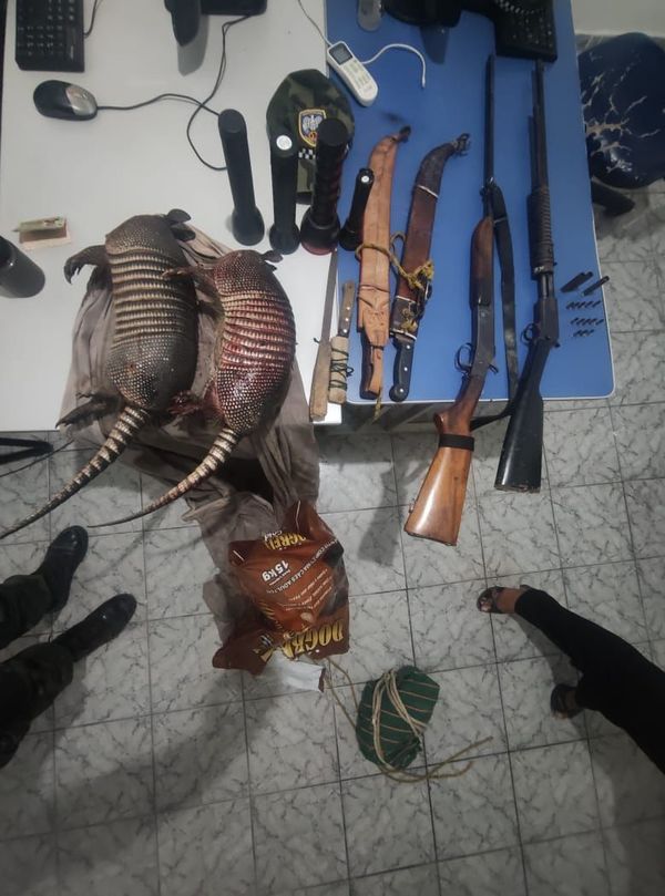 Armas, materiais de caça e tatus abatidos foram apreendidos pela polícia por Divulgação/Polícia Militar Ambiental