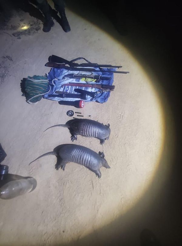 Armas, materiais de caça e tatus abatidos foram apreendidos pela polícia por Divulgação/Polícia Militar Ambiental