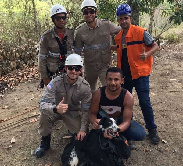 A cadela Pantera ficou 12h desaparecida e foi resgatada pelos Bombeiros dentro de cratera em Pedro Canário