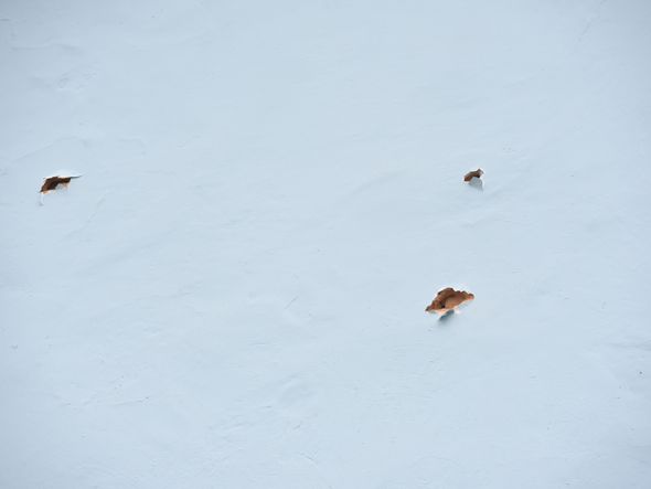 Bandidos explodem e assaltam os bancos Banestes, Banco do Brasil e Sicoob em Santa Leopoldina.  Marcas de tiros na parede do antigo casarão.  por Carlos Alberto Silva