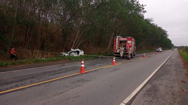 Tia e sobrinho morrem em acidente após carro bater em árvore em Aracruz por Leitor | A Gazeta