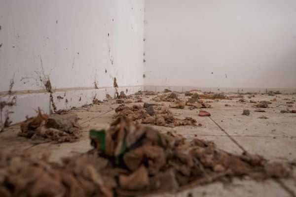 Casas abandonadas em Sooretama por Fernando Madeira