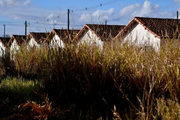 Casas do condomínio Mata do Cacau do programa Minha Casa Minha Vida em Linhares por Fernando Madeira