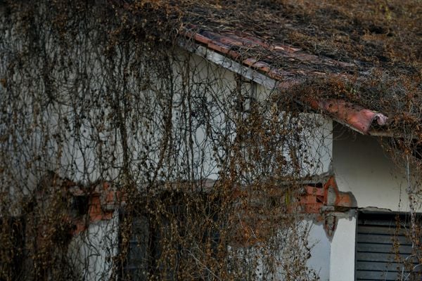 Casas do condomínio Mata do Cacau do programa Minha Casa Minha Vida em Linhares por Fernando Madeira