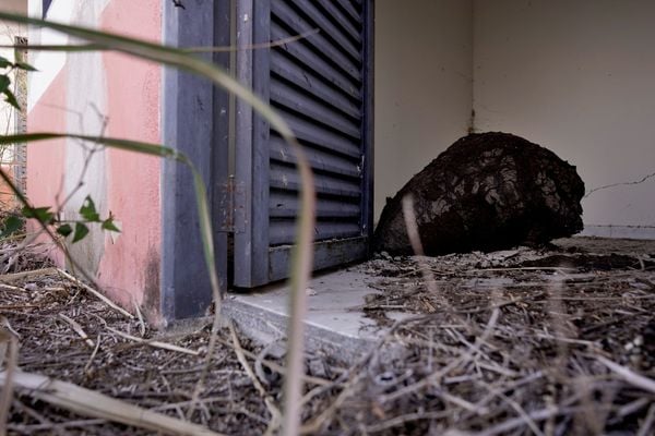 Casas do condomínio Mata do Cacau do programa Minha Casa Minha Vida em Linhares por Fernando Madeira