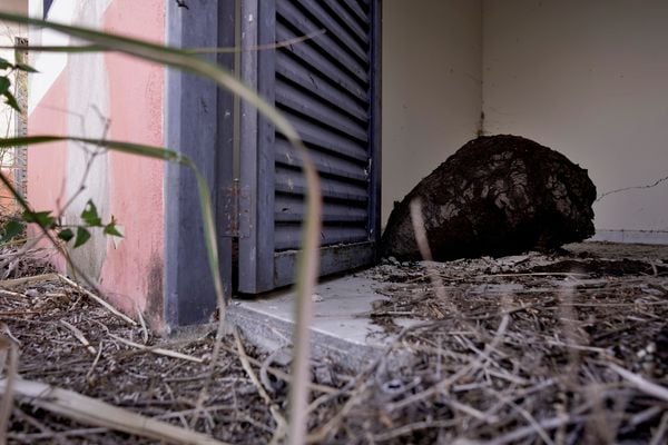 Casas do condomínio Mata do Cacau do programa Minha Casa Minha Vida em Linhares por Fernando Madeira
