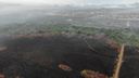 Parque Paulo César Vinha queima há 12 dias em Guarapari(Marcelo Nascimento | Iema)