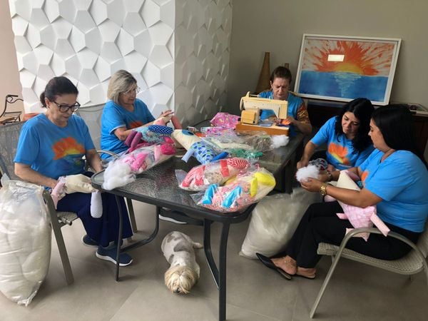 Voluntários doam cachorrinhos de pelúcias a crianças em hospitais de Cachoeiro