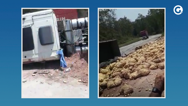Caminhão carregado com batatas tomba e deixa carga espalhada na BR 262, em Brejetuba