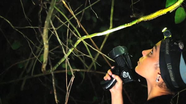 Pesquisa na Ilha dos Franceses, em Itapemirim, onde vivem mais de 1,2 mil cobras por Matheus Martins