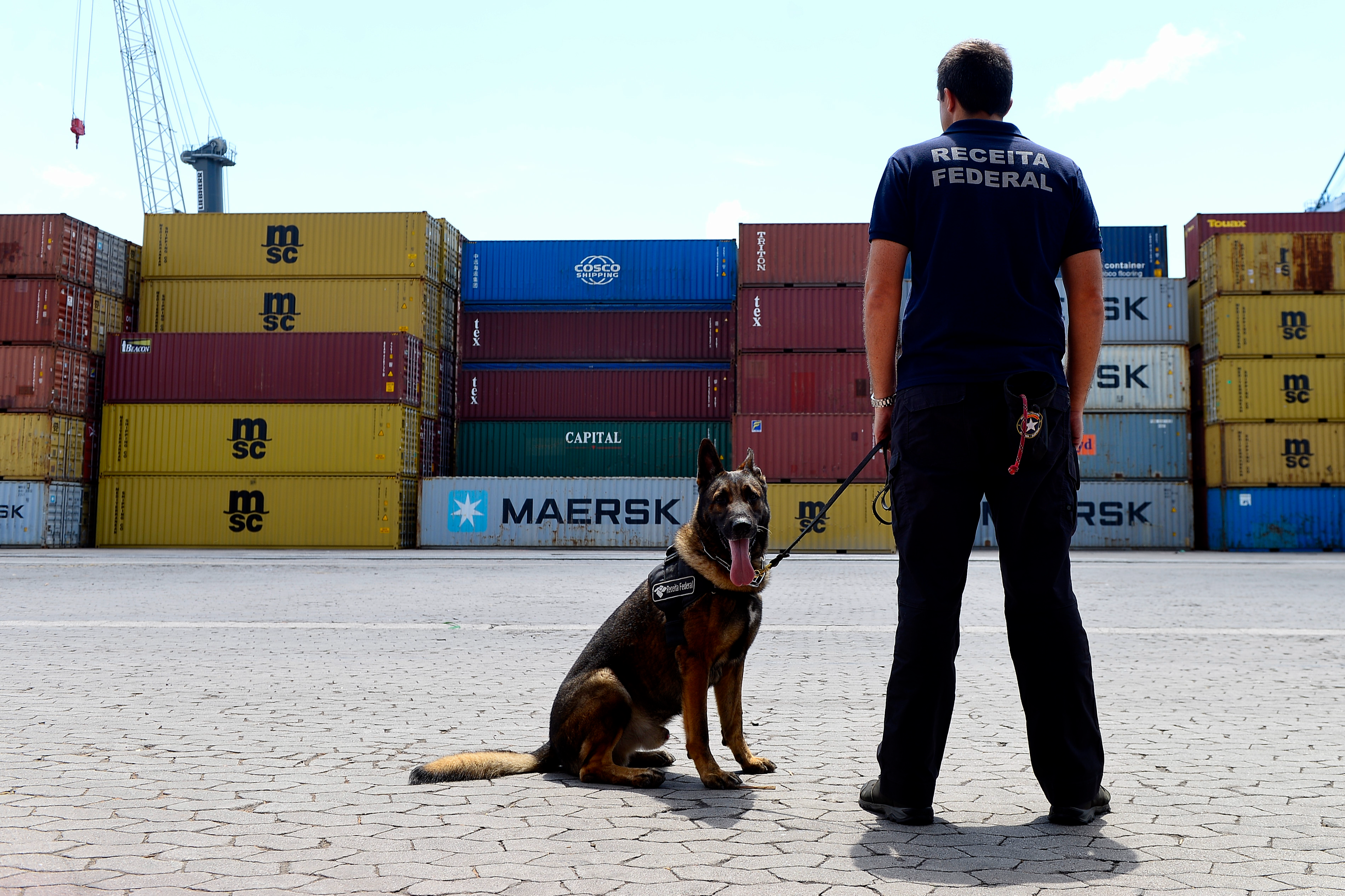 Cão da Receita Federal ajuda descobrir drogas em portos e aeroportos no Espírito Santo