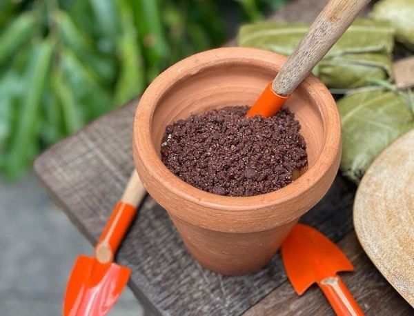 Mousse de chocolate da ilha do Combu com cupuaçu e farofinha de cacau por Reprodução @Remansodopeixe