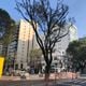 Imagem - Obras em cidades do ES vão mudar a cara do mercado imobiliário