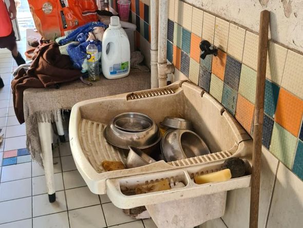 Animais foram encontrados com sinais de maus-tratos em Vitória por Reprodução | Prefeitura de Vitória