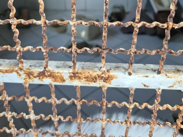 Animais foram encontrados com sinais de maus-tratos em Vitória por Reprodução | Prefeitura de Vitória