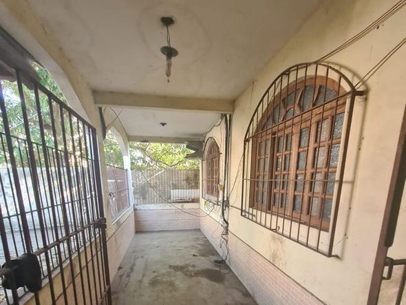 Animais foram encontrados com sinais de maus-tratos em Vitória por Reprodução | Prefeitura de Vitória