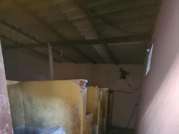 Animais foram encontrados com sinais de maus-tratos em Vitória por Reprodução | Prefeitura de Vitória