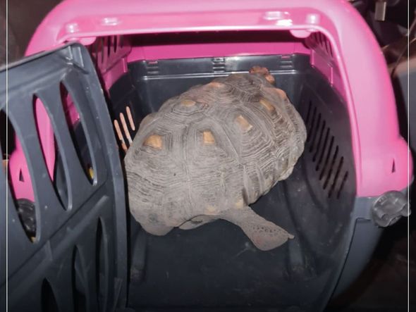 Imagens mostram condições precários dentro de hotel em Vitória por Instagram | @deputadajanetedesa