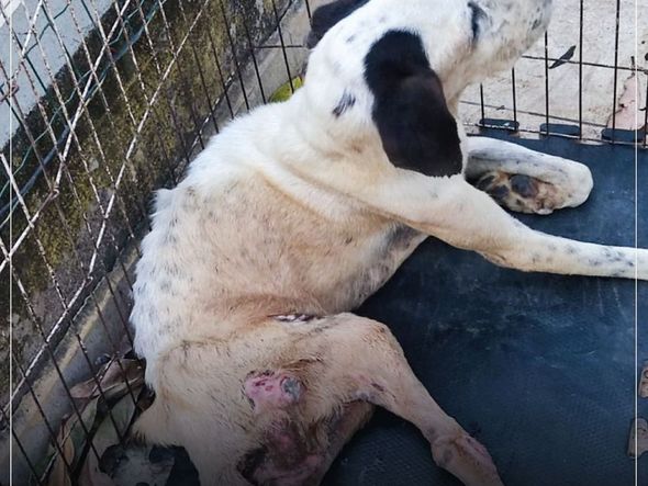 Imagens mostram condições precários dentro de hotel em Vitória por Instagram | @deputadajanetedesa