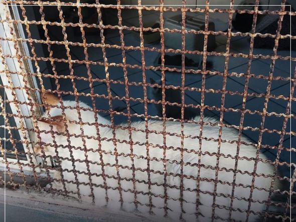 Imagens mostram condições precários dentro de hotel em Vitória por Instagram | @deputadajanetedesa