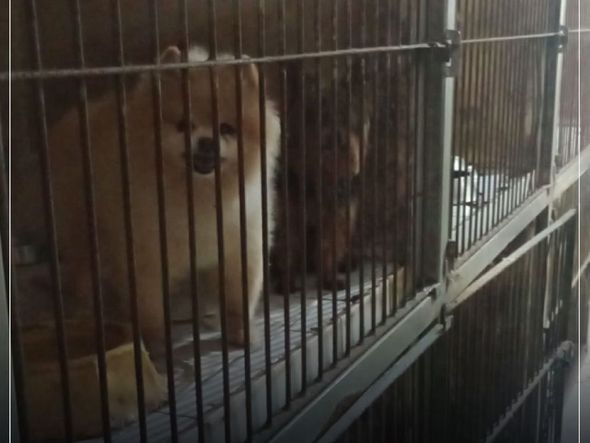 Imagens mostram condições precários dentro de hotel em Vitória por Instagram | @deputadajanetedesa