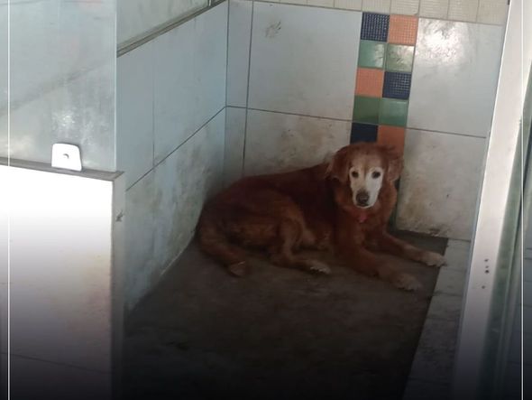 Imagens mostram condições precários dentro de hotel em Vitória por Instagram | @deputadajanetedesa