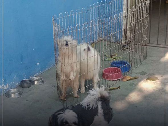 Imagens mostram condições precários dentro de hotel em Vitória por Instagram | @deputadajanetedesa