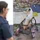 Imagem - Sob fiança, Justiça manda soltar veterinária presa por maus-tratos em Vitória