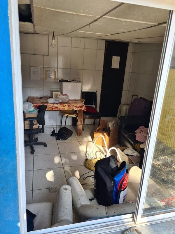 Animais foram encontrados com sinais de maus-tratos em Vitória por Reprodução | Prefeitura de Vitória