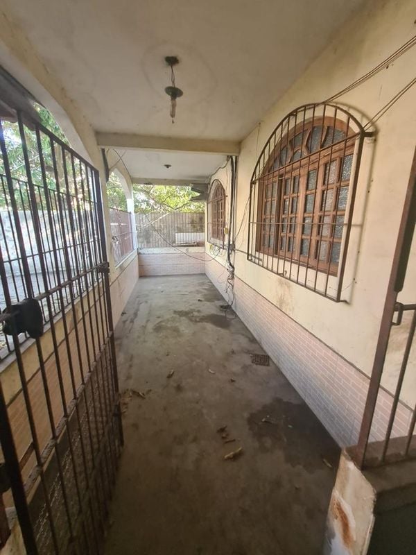 Animais foram encontrados com sinais de maus-tratos em Vitória por Reprodução | Prefeitura de Vitória