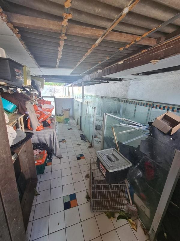Animais foram encontrados com sinais de maus-tratos em Vitória por Reprodução | Prefeitura de Vitória