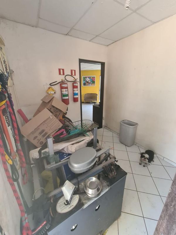 Animais foram encontrados com sinais de maus-tratos em Vitória por Reprodução | Prefeitura de Vitória