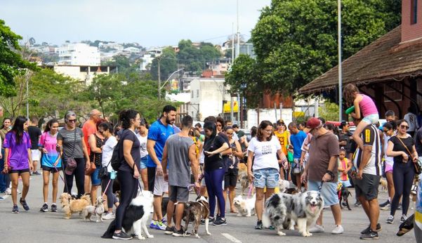 Buldogue é companheira do dono até na hora de praticar esportes em Cachoeiro 