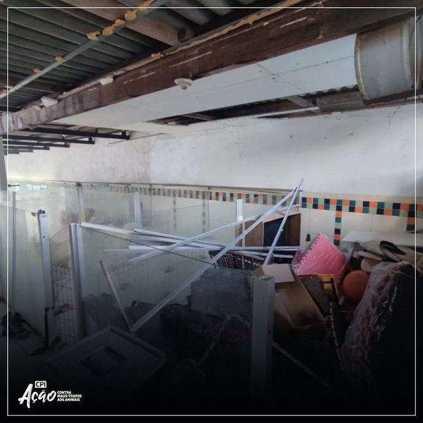 Imagens mostram condições precários dentro de hotel em Vitória por Instagram | @deputadajanetedesa