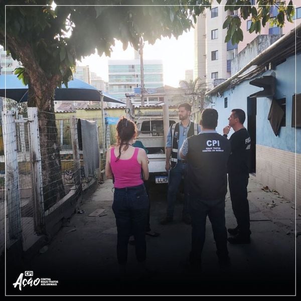Imagens mostram condições precários dentro de hotel em Vitória por Instagram | @deputadajanetedesa