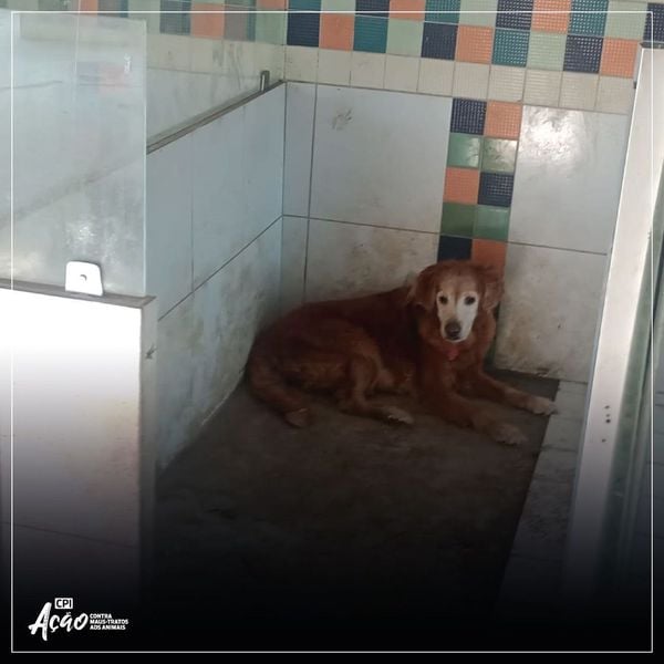 Imagens mostram condições precários dentro de hotel em Vitória por Instagram | @deputadajanetedesa