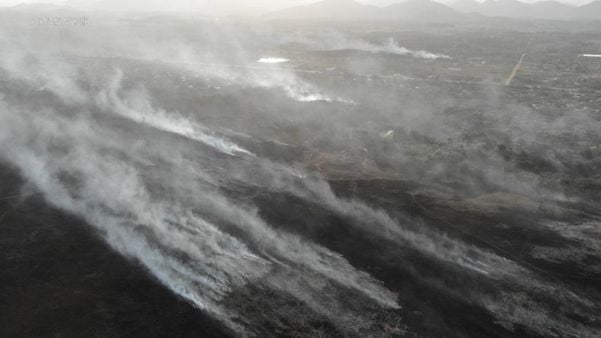 O fogo permanece concentrado nas áreas de turfa do Parque Paulo César Vinha, em Guarapari