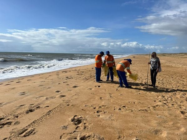 Equipes realizaram limpeza em praias de Linhares 