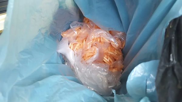 Guarda apreende droga após troca de tiros perto de escola em Vila Velha