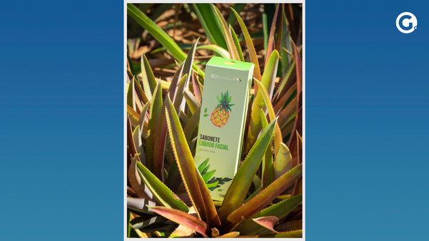 Com tantos benefícios, abacaxi de Marataízes vira linha de cuidados com a pele