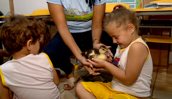 Escola usam animais para crianças aprendem sobre responsabilidades com animais