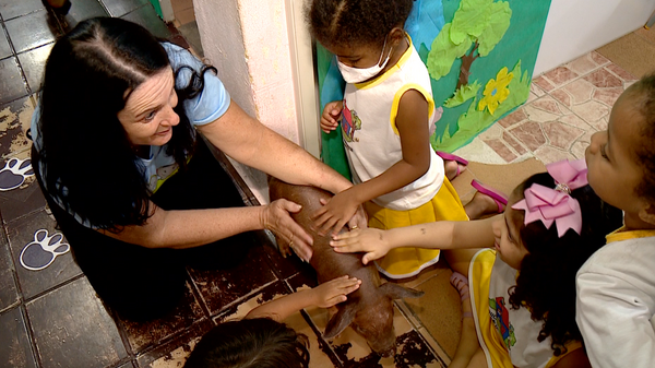 Escola usam animais para crianças aprendem sobre responsabilidades com animais