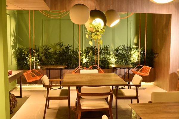 Plantas estão cada vez mais presentes nos ambientes internos por Wesley Paiva