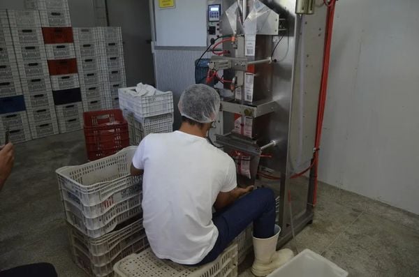 Polpas de frutas são feitas em indústria dentro do Ifes de Itapina, em Colatina