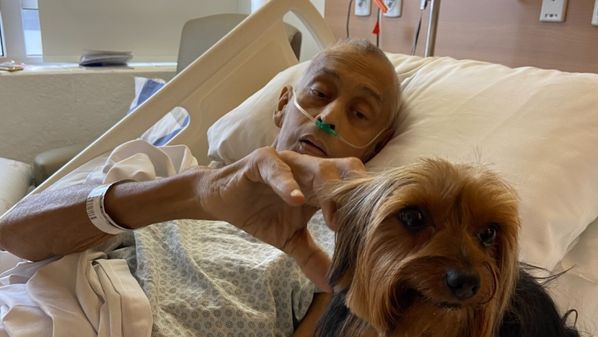 O cachorrinho da raça yorkshire e com nome de artista famoso foi levado ao hospital para um reencontro com o próprio dono, o aposentado João Walter Ribeiro; confira como foi