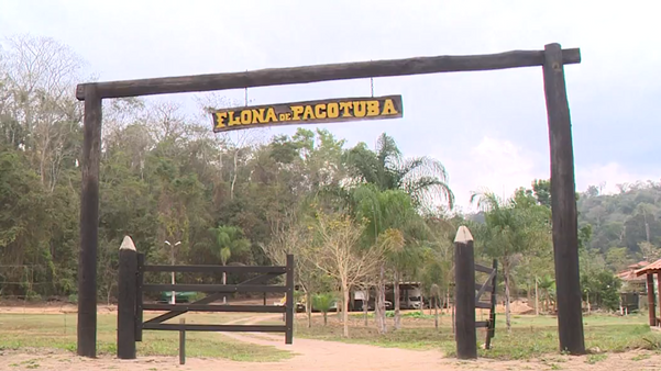 A Floresta Nacional (Flona) de Pacotuba, em Cachoeiro de Itapemirim, é um local que muitas pessoas não conhecem e está aberto para visitação por Matheus Martins 