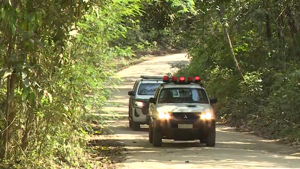  Floresta de Pacotuba revela um espetáculo da natureza no Sul do ES