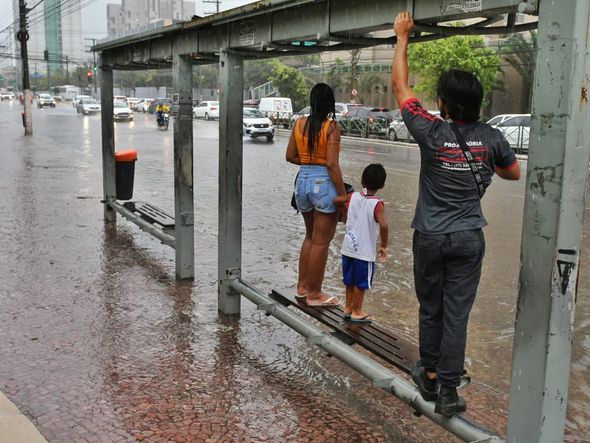 Pedestres por Fernando Madeira