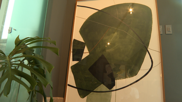 Os quadros são do artista plástico cachoeirense Moacyr Travaglia por Carlos Barros