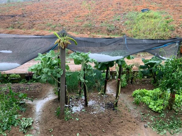 Chuva de granizo: 200 produtores rurais tiveram prejuízo em Águia Branca